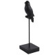 Dekofigur Vogel Polyresin 20cm schwarz
