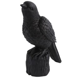 Dekofigur Vogel Karolus Polyresin 20cm schwarz