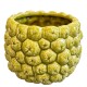 Blumentopf -Frutti- Keramik 13x16cm grün