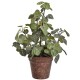 Kunstpflanze -Leaves Bush- 38cm grün