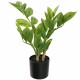 Kunstpflanze -Zamifolia- 33cm grün