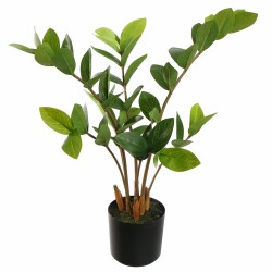 Kunstpflanze -Zamifolia- 50cm grün