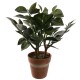Kunstpflanze -Coral Cactus- 43cm grün
