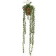 Kunstpflanze Hängend -Senecio- 65cm grün