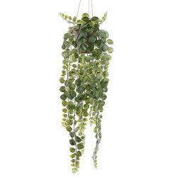 Kunstpflanze Hängend -Ceropegia- 80cm grün