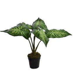 Kunstpflanze -Syngonium- 49cm grün