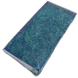 Moos Tilandsia 350g grün