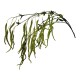 Amaranthus Kunstblume Zweig 126cm grün